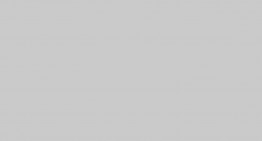 Netbooks: Facts, Figures, Options and Opinion