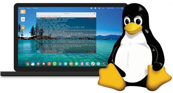 Ten Reasons Why We Should Use Linux Open Source For You