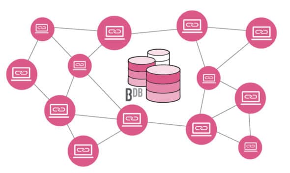 An Introduction To BigchainDB, A Popular Blockchain Database